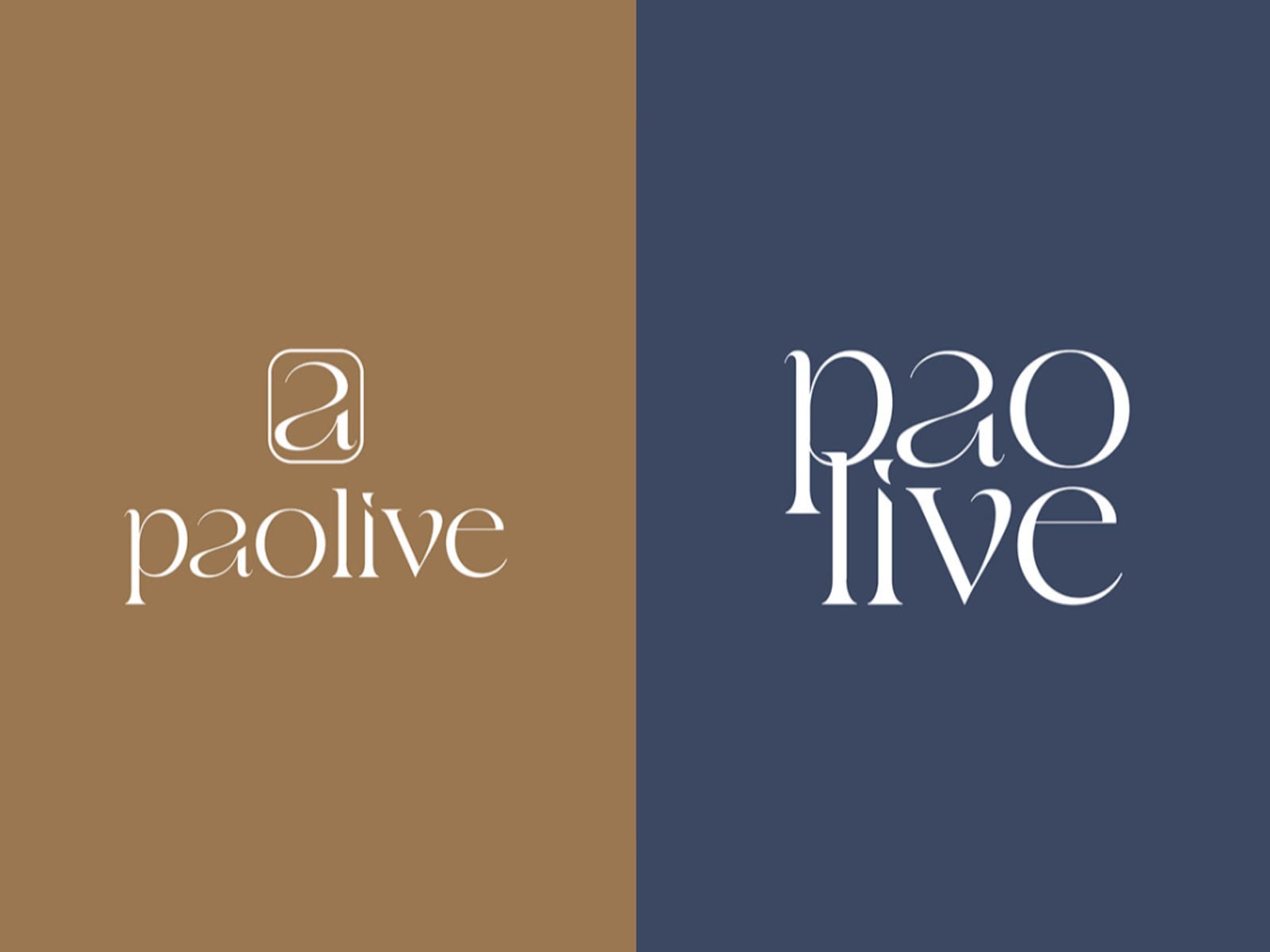 PaoLive — Brand Identity