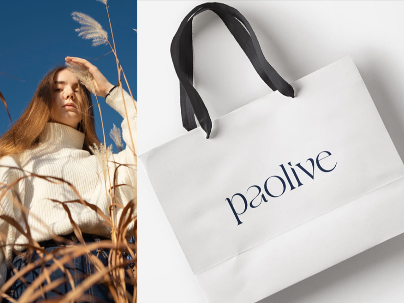PaoLive — Brand Identity