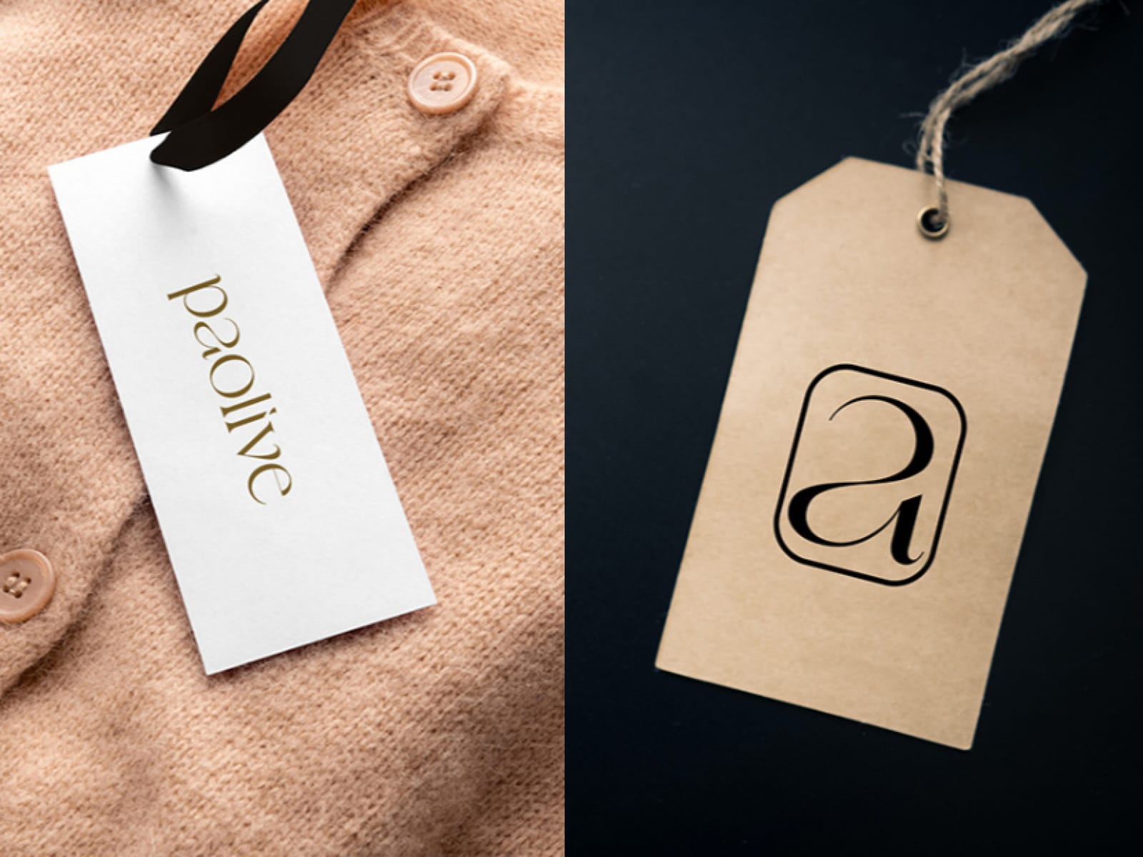 PaoLive — Brand Identity
