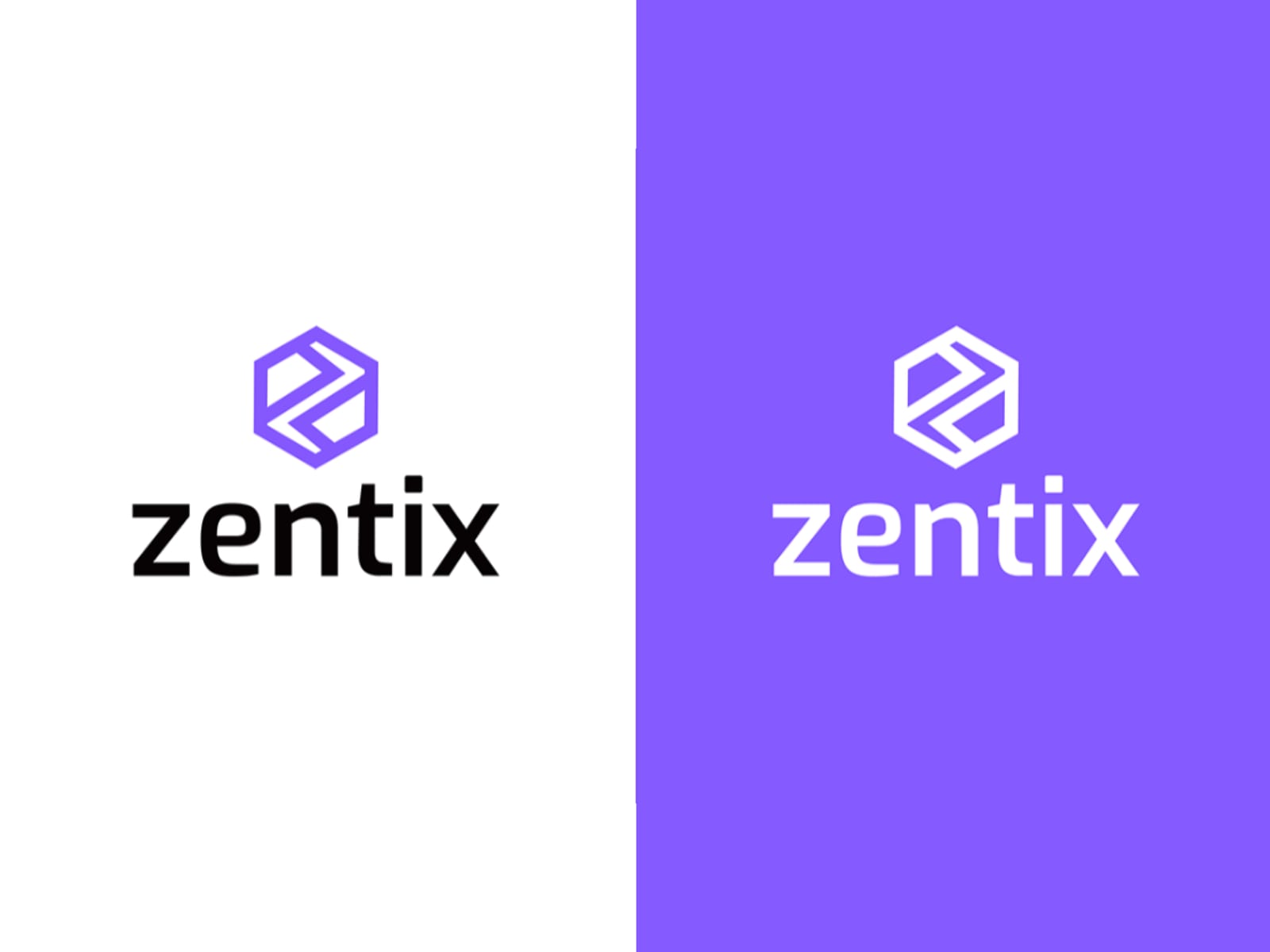 Zentix — Brand Identity