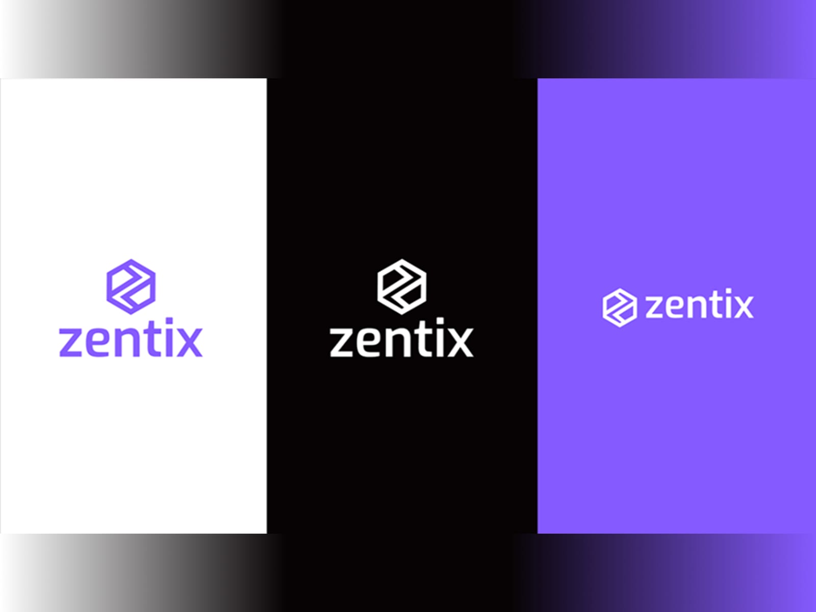 Zentix — Brand Identity