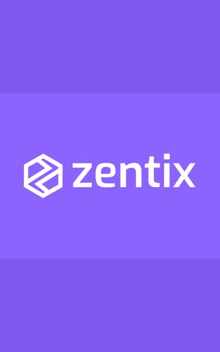 Zentix — Brand Identity — Patronus Pixels portfolio